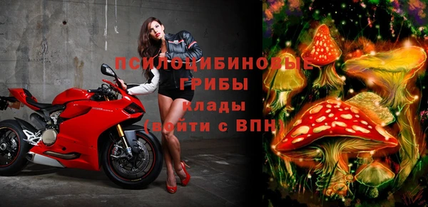 индика Алзамай