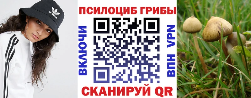 сколько стоит  мега как войти  Галлюциногенные грибы MAGIC MUSHROOMS  Лесной 
