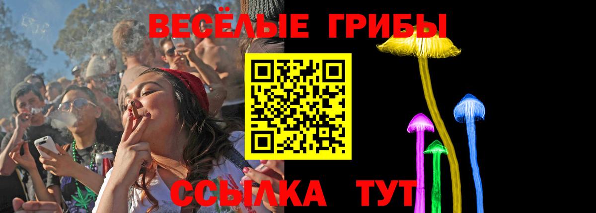 Лесной  Псилоцибиновые грибы Magic Shrooms  Вход с VPN 